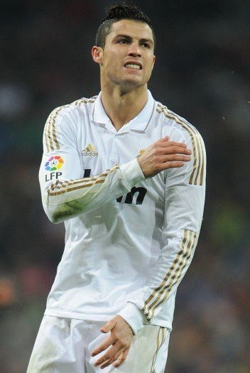 调整和适应 调整和适应