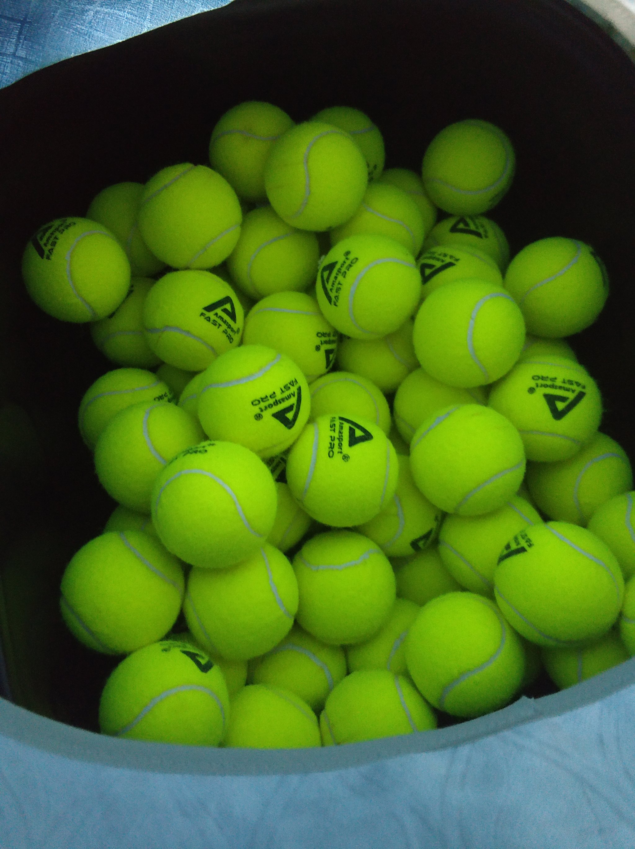 适应能力 适应能力