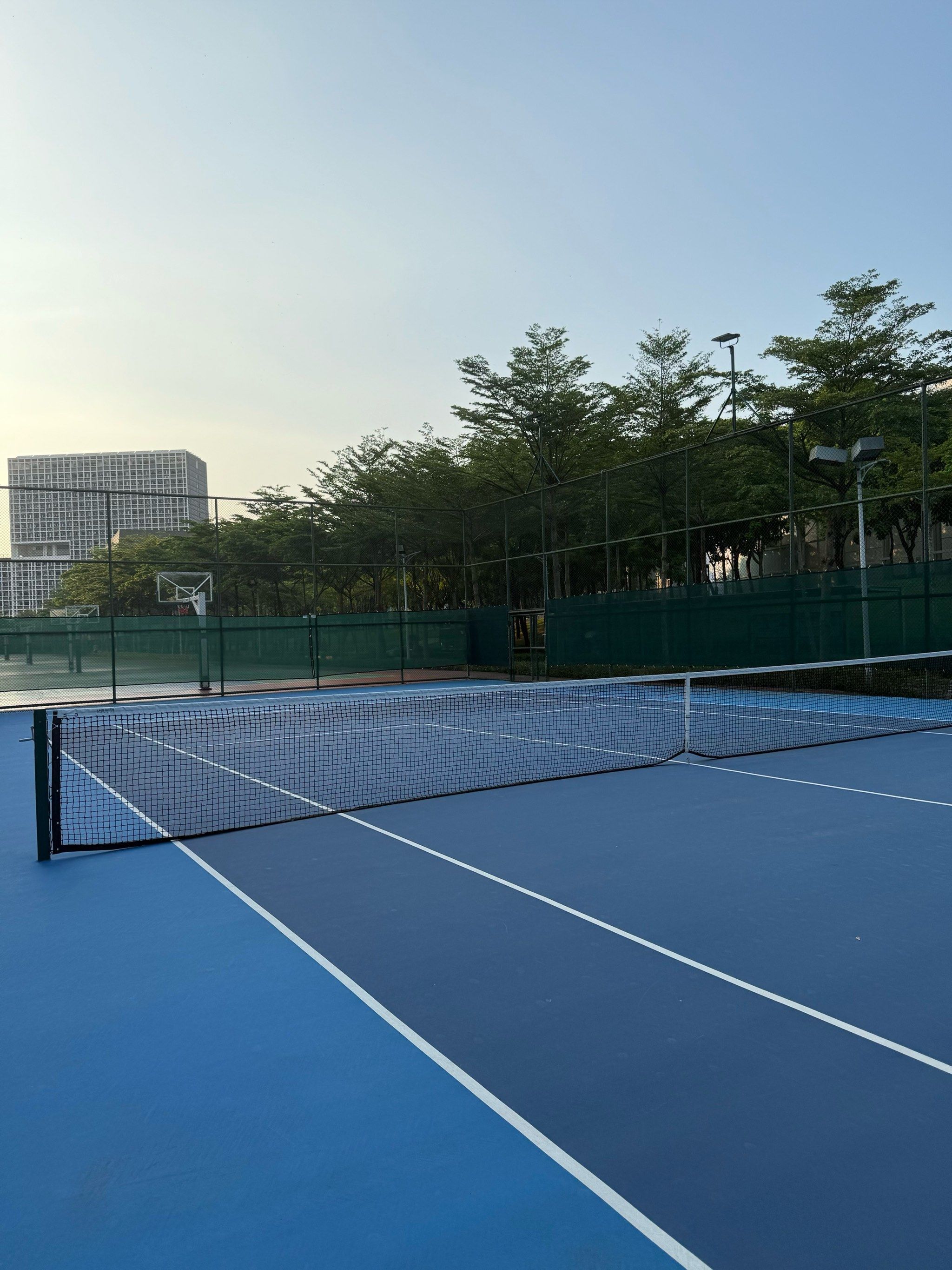 的顽强反击 的顽强反击