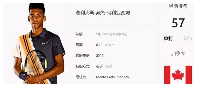 明星的社会 明星的社会