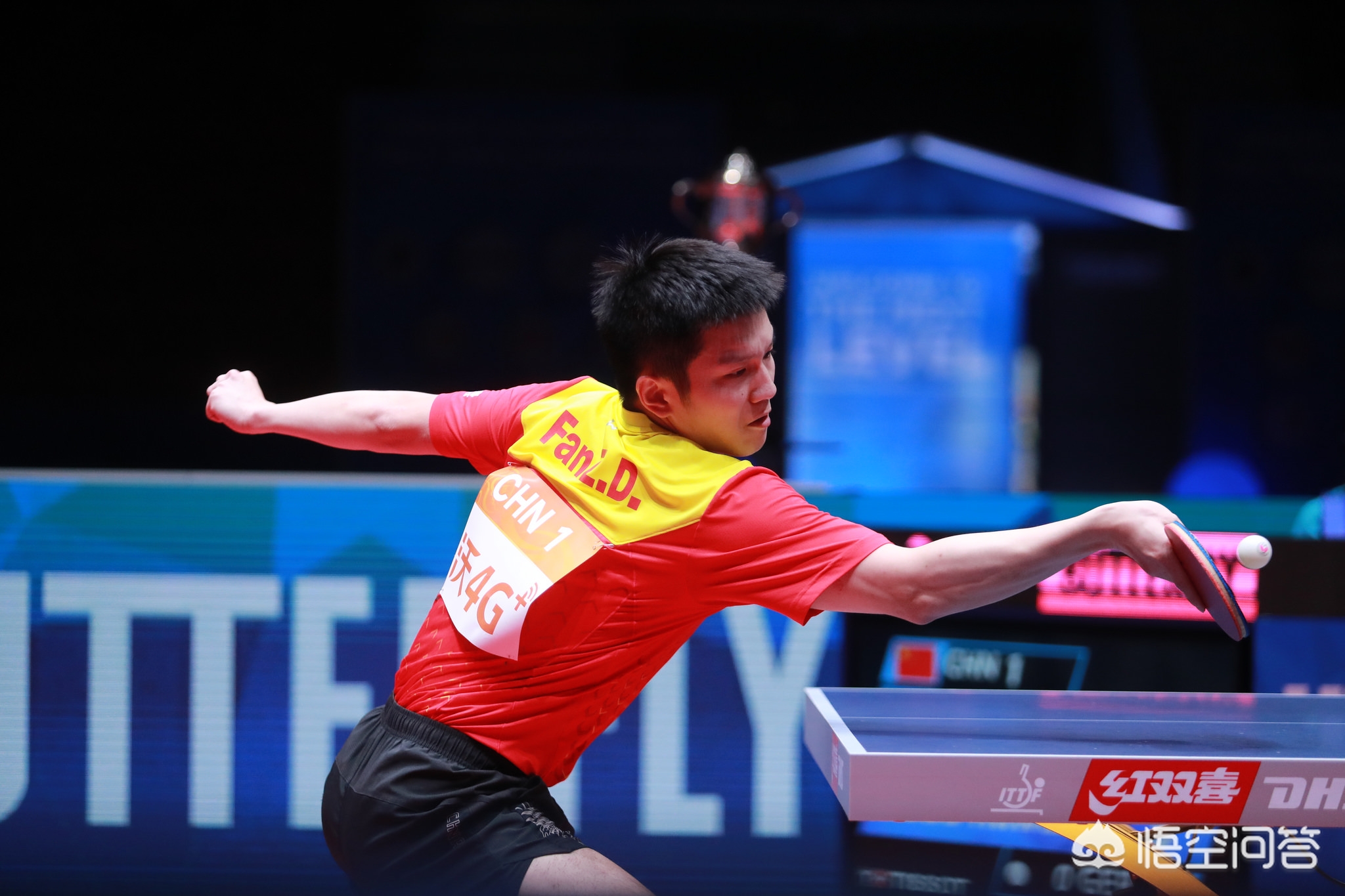 放大器效应 放大器效应