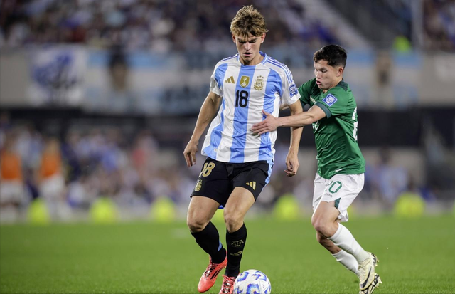 量上限与投 量上限与投