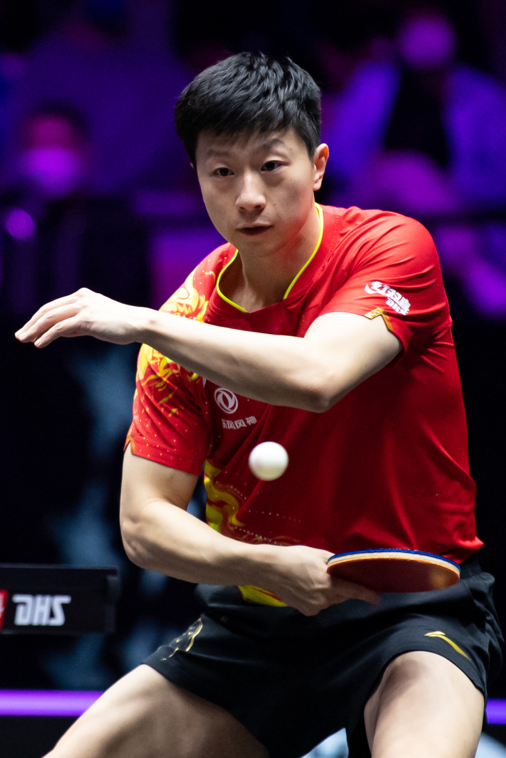 巴特萨吉的 巴特萨吉的